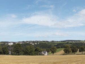 Hintergrund Erzgebirge 1