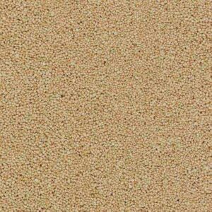 bu7060 SCHOTTER BEIGE N/Z
