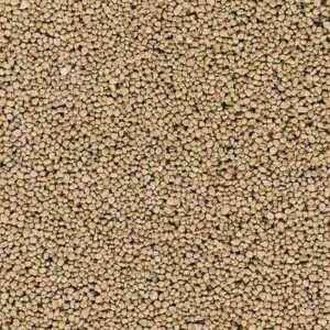 bu7061 SCHOTTER BEIGE GROB H0/N/TT