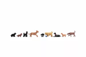 Hunde