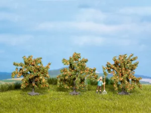 Orangenbaume