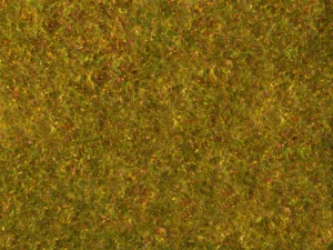Wiesen-Foliage