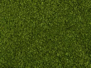 Laub-Foliage