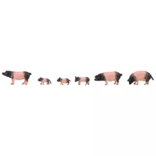 1/87 SCHWABISCH-HALLISCHE VARKENS 6 STUKS