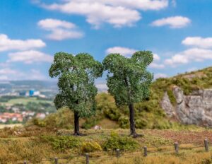 BOOM FRUITBOMEN 2 STUKS
