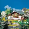 Faller 130287 - Berghuis