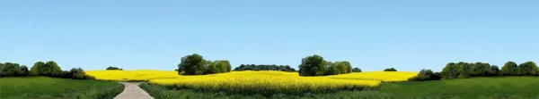 180504rG2y22GJ8Fxko Faller 180504 - Modelachtergrond Ostholstein