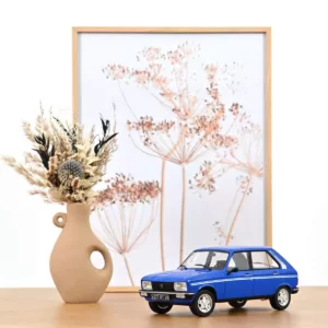 Peugeot 104 S 1981 Ibis Blue