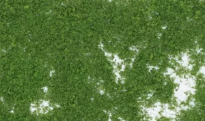 FOLIAGE MEDIUM GREEN