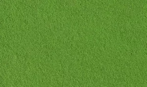 TURF GREEN GRASS