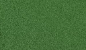 TURF WEEDS