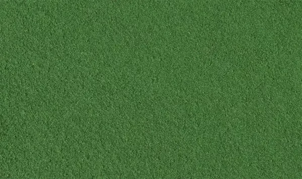 TURF WEEDS
