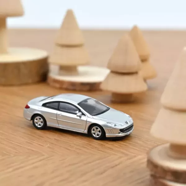 Peugeot 407 Coupé 2006 Zilver