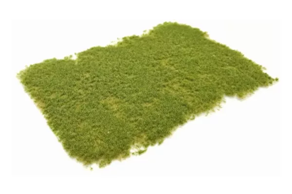 Tufts pasture summer 2 mm