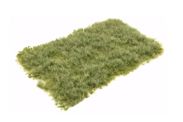 Tufts pasture summer 6 mm