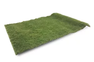 Pasture summer, long (Small)