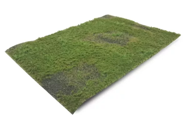 Pasture with soil summer, short (Small)