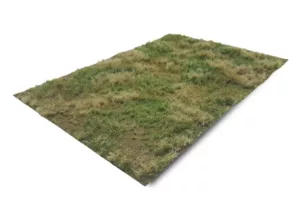 Meadow summer arid (Small)