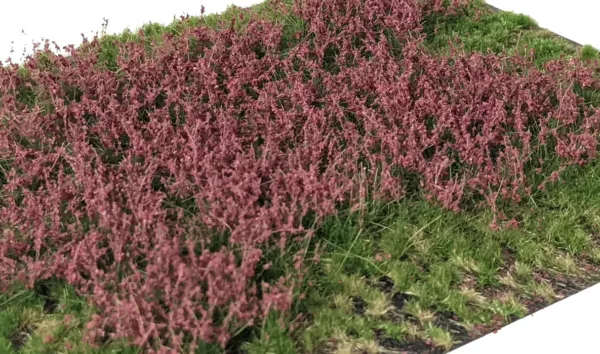 Layered Tufts Flowers Red