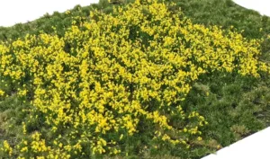 WB-PY262 Layered Tufts Flowers Yellow