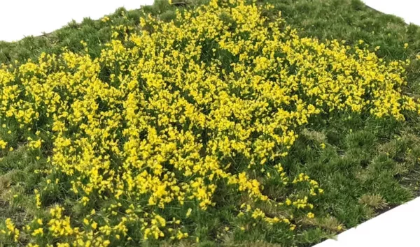 Layered Tufts Flowers Yellow