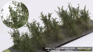 Bushes type B fine leaves Dark Green