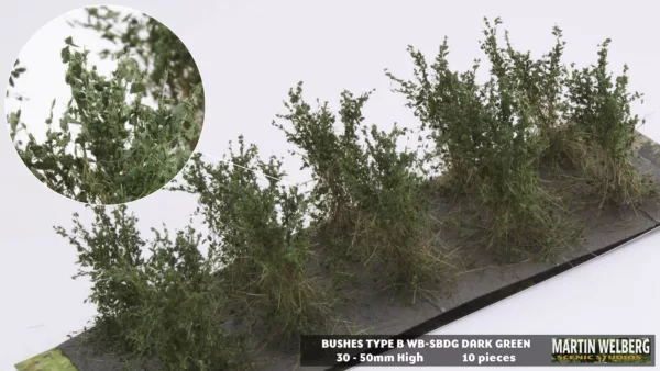Bushes type B fine leaves Dark Green