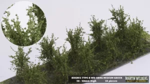 Bushes type B fine leaves Medium Green