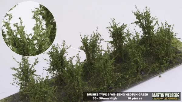 Bushes type B fine leaves Medium Green