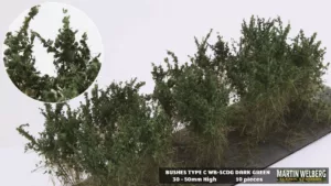 Bushes type C fine leaves Dark Green