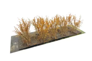 WB-SCOH Bushes type C Orange Fall