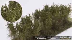 WB-SCOL Bushes type C olive green