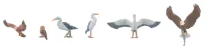 1/87 Vogels in het wild
