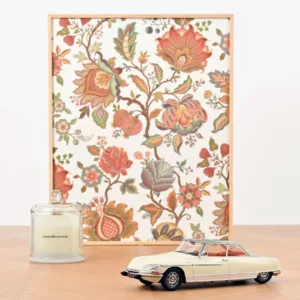 Citroën DS 21 Le Léman 1968 Ivory and Green metallic