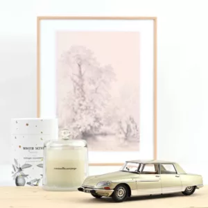 Citroën DS 21 Lorraine 1969 Champagne