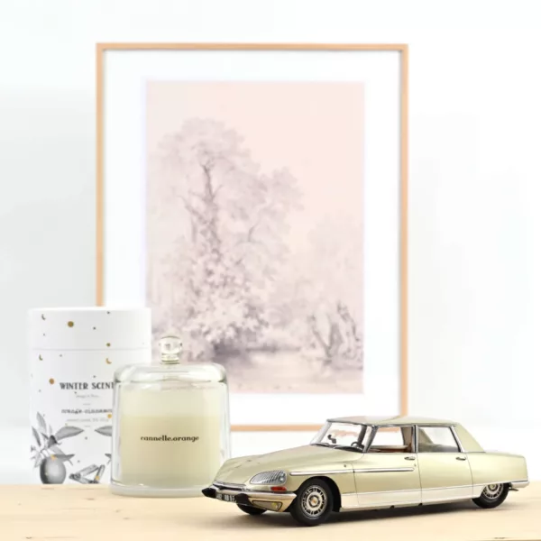 Citroën DS 21 Lorraine 1969 Champagne