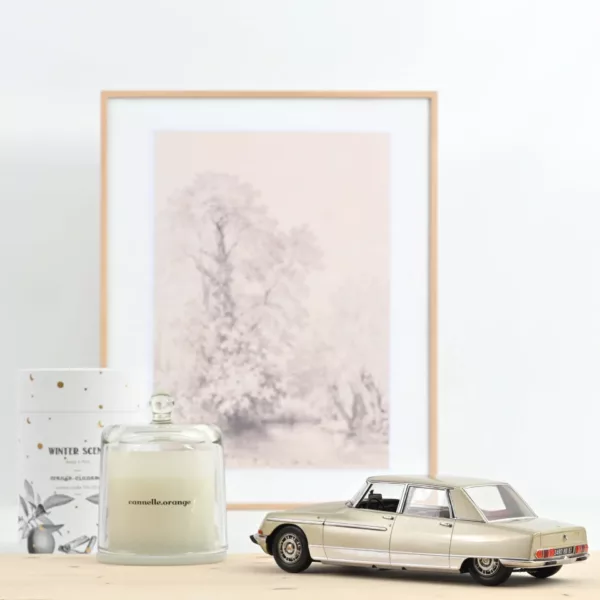 Citroën DS 21 Lorraine 1969 Champagne