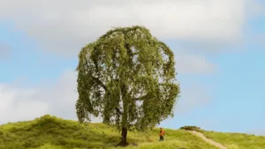 Trauerweide