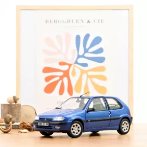 181830 Citroën Saxo VTS 1996 Grand Pavois Blue metallic