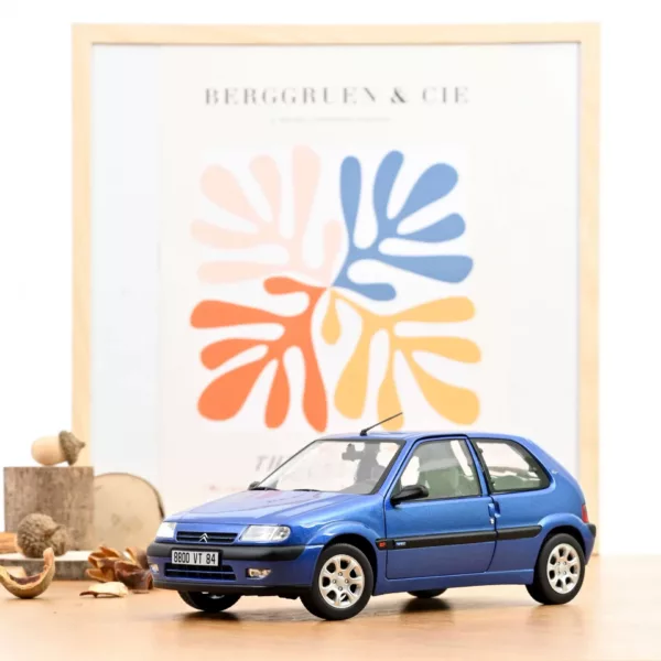 Citroën Saxo VTS 1996 Grand Pavois Blue metallic