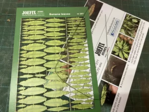 jofjf267_0 1/32 BANANA LEAF C