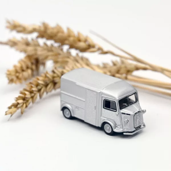 Citroën Type H 1960 Zilver