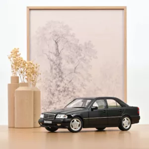 Mercedes-Benz C36 AMG 1993 Obsidian Black metallic