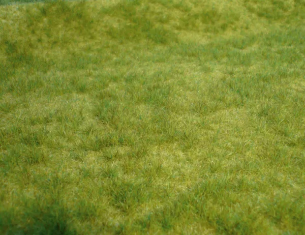 WILDGRAS FRUHLING 45X17CM